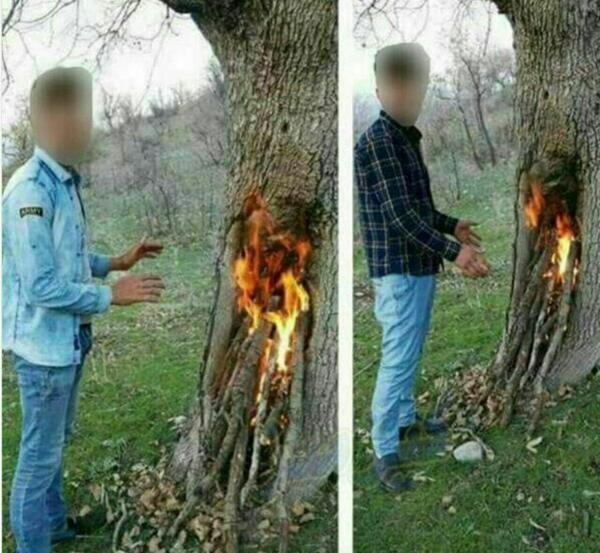 عکس پروفایل اتش زدن گل