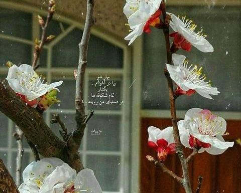 عکس هنری بهاری
