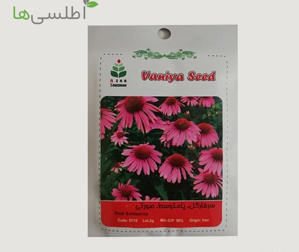 عکس بذر چای ترش