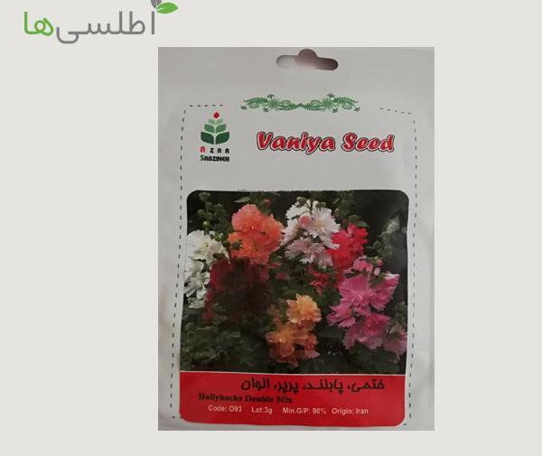 عکس بذر چای ترش