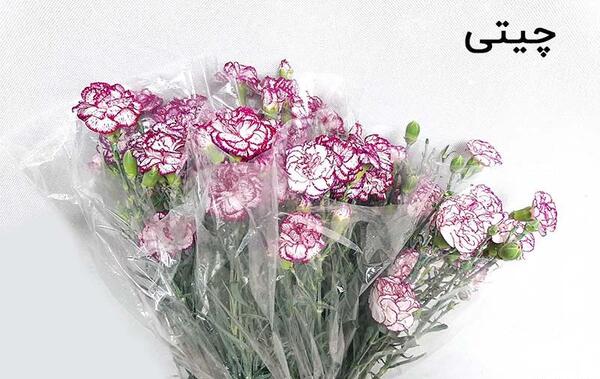 عکس گل میخک مینیاتوری