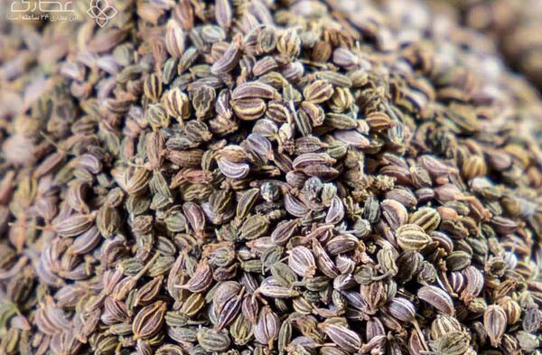 عکس بذر سبزی جعفری