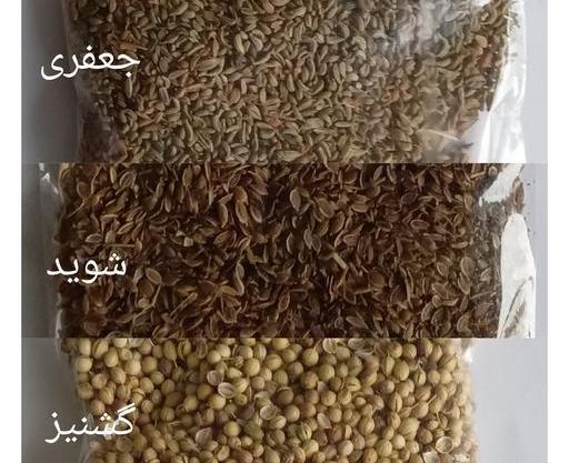 عکس بذر سبزی جعفری