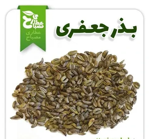 عکس بذر سبزی جعفری