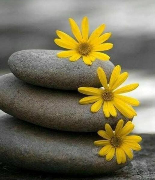 عکسهای بهاری برای پروفایل