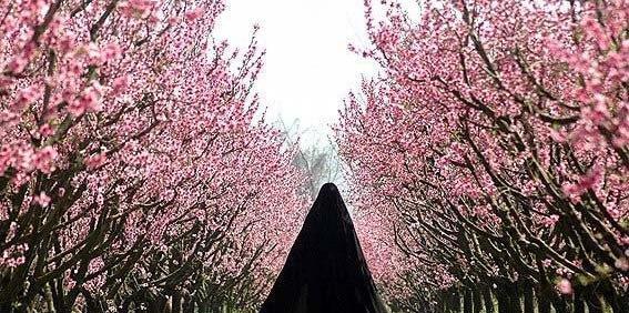 عکسهای بهاری برای پروفایل