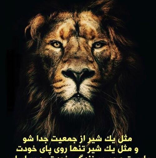 دانلود عکس حضرت علی با شیر