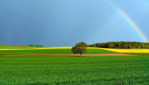 عکس های جالب برای صفحه دسکتاپ