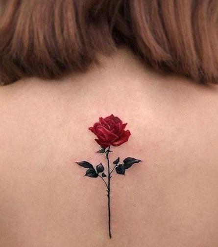 عکس تاتو گل رز رنگی