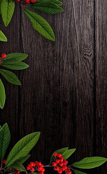 عکس ناب برای تصویر زمینه