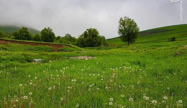 عکس طبیعت جنوب