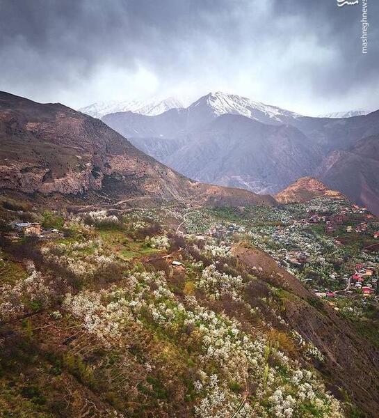 عکس طبیعت جنوب