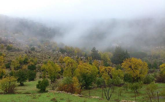 عکس طبیعت جنوب