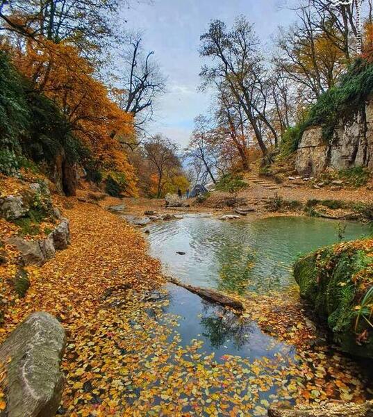 عکس طبیعت جنوب