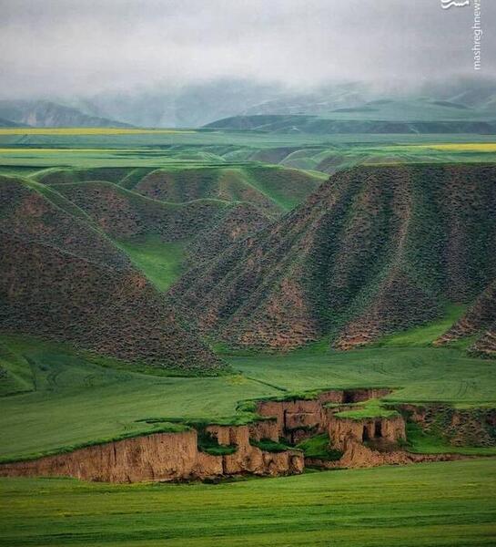 عکس طبیعت جنوب
