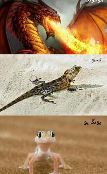 عکس جومونگ و تسو و یونگ پو