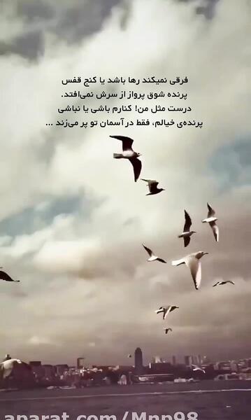 عکس اسمان پرنده