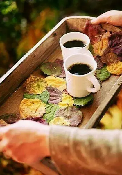 عکس چای دونفره در خانه