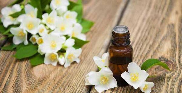 عکس گل یاس سفید برای پروفایل