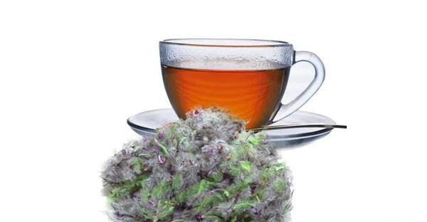 عکس چای کوهی و خواص آن