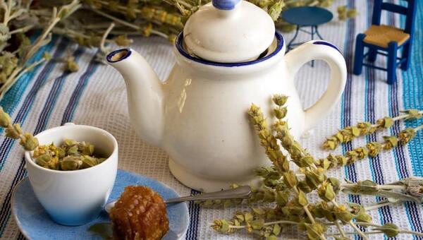 عکس چای کوهی و خواص آن