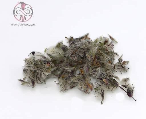 عکس چای کوهی و خواص آن