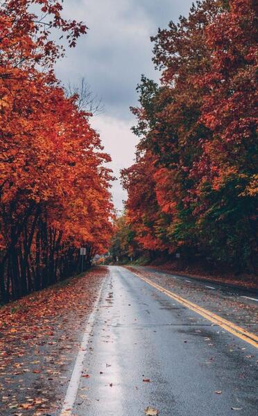 عکس طبیعت پاییز برای تصویر زمینه