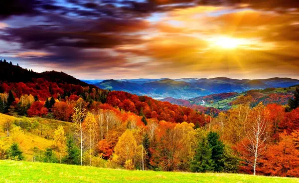 عکس طبیعت پاییز برای تصویر زمینه
