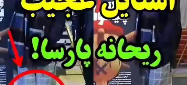 عکس جنجالی ریحانه پارسا