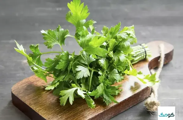 عکس از گیاه جعفری