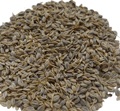 عکس از گیاه جعفری