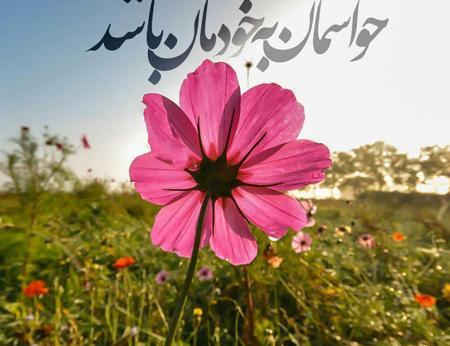 عکس پروفایل اموزنده خاص
