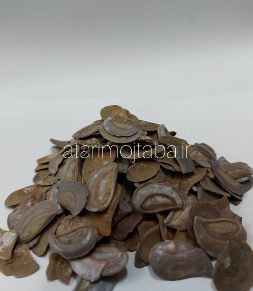 عکس ناخن جنی