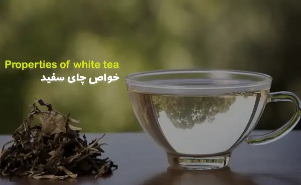 عکس چای سفید و خواص آن