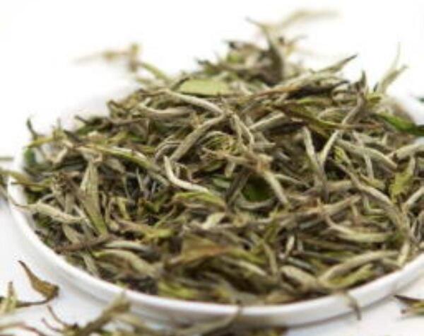 عکس چای سفید و خواص آن