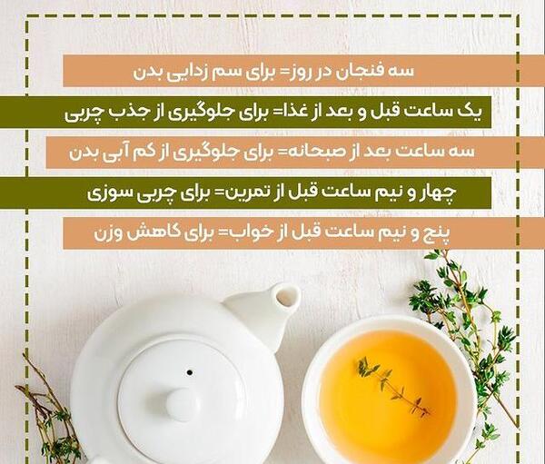 عکس چای سفید و خواص آن