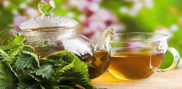 عکس چای پونه کوهی