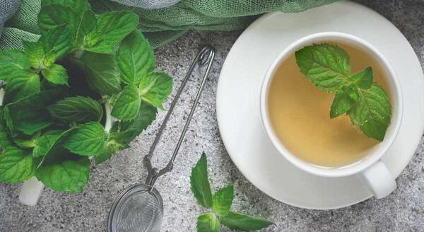 عکس چای پونه کوهی