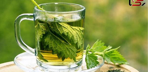 عکس چای پونه کوهی