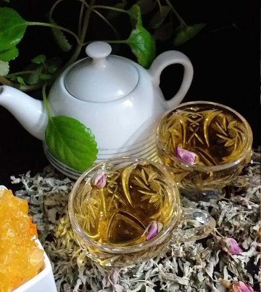 عکس چای پونه کوهی