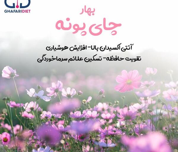عکس چای پونه کوهی