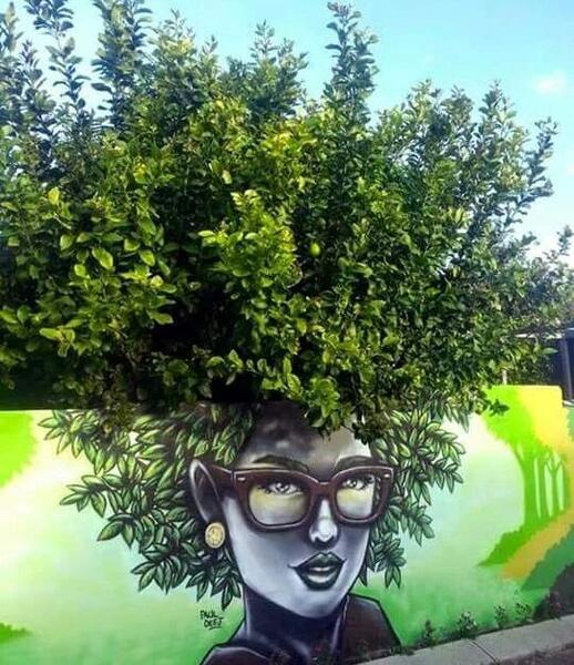 عکس درخت بهار نقاشی