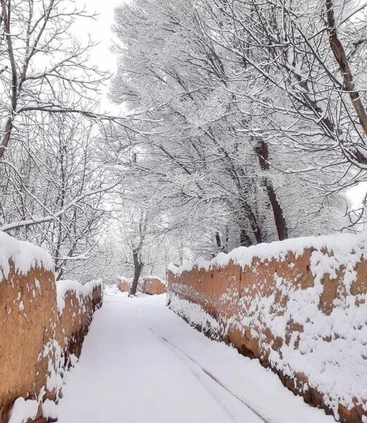 دانلود عکس تصویر زمینه زمستانی