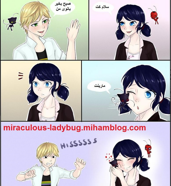 عکس بوسه عاشقانه دختر کفشدوزکی و گربه سیاه