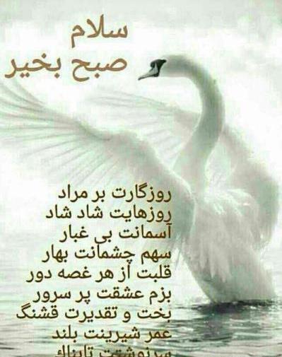 عکس سلام صبح بخیر بچه ها