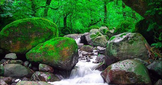 عکس طبیعت واقعی شمال ایران