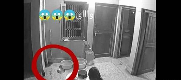 عکس جن واقعی در مشهد
