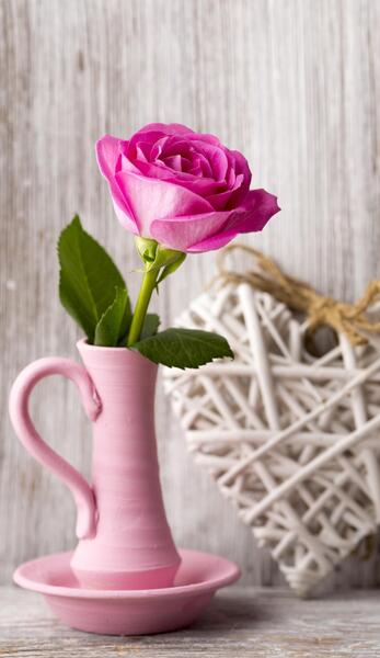 دانلود عکس طبیعت گل و گیاه