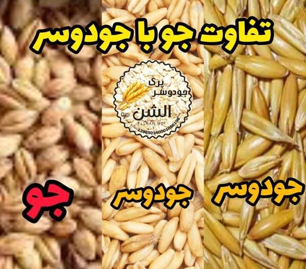 عکس جو پرک دو سر