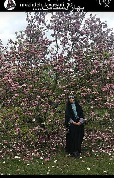 عکس بهاری برای استوری